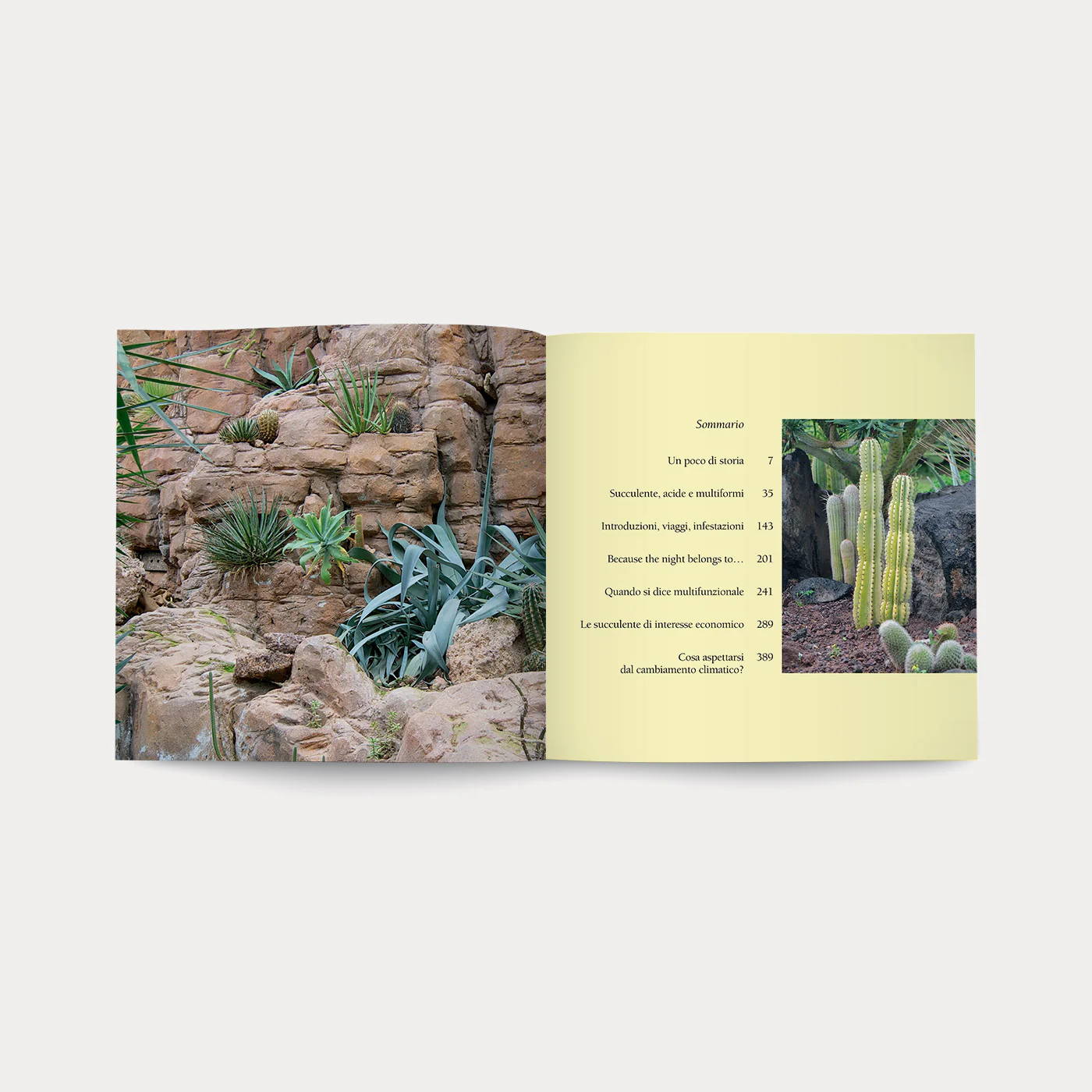 Libro Di Fiori e di Spine - Image 3