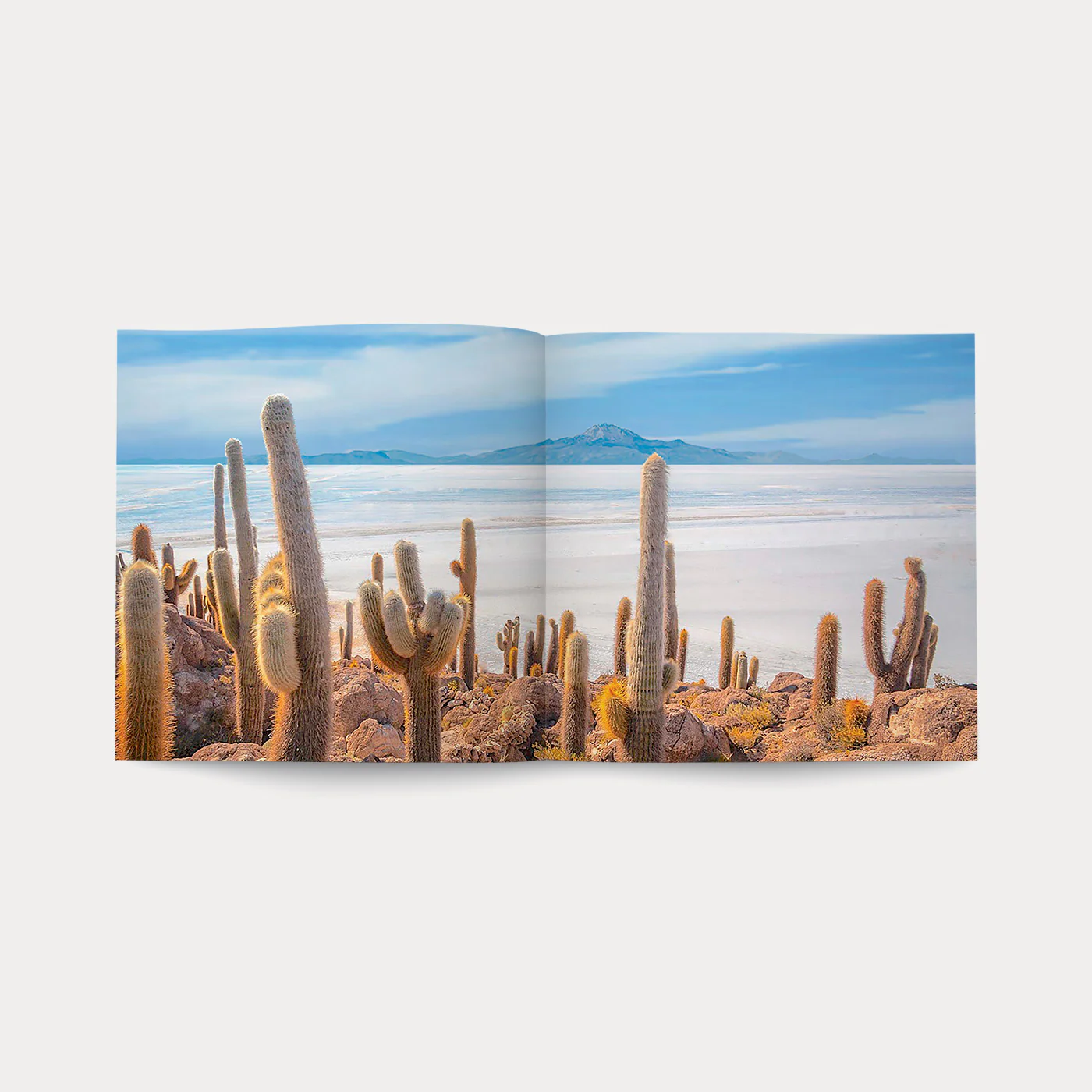 Libro Di Fiori e di Spine - Image 4