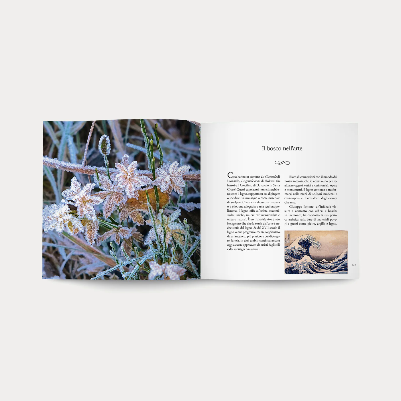 Libro Nel Bosco - Image 6