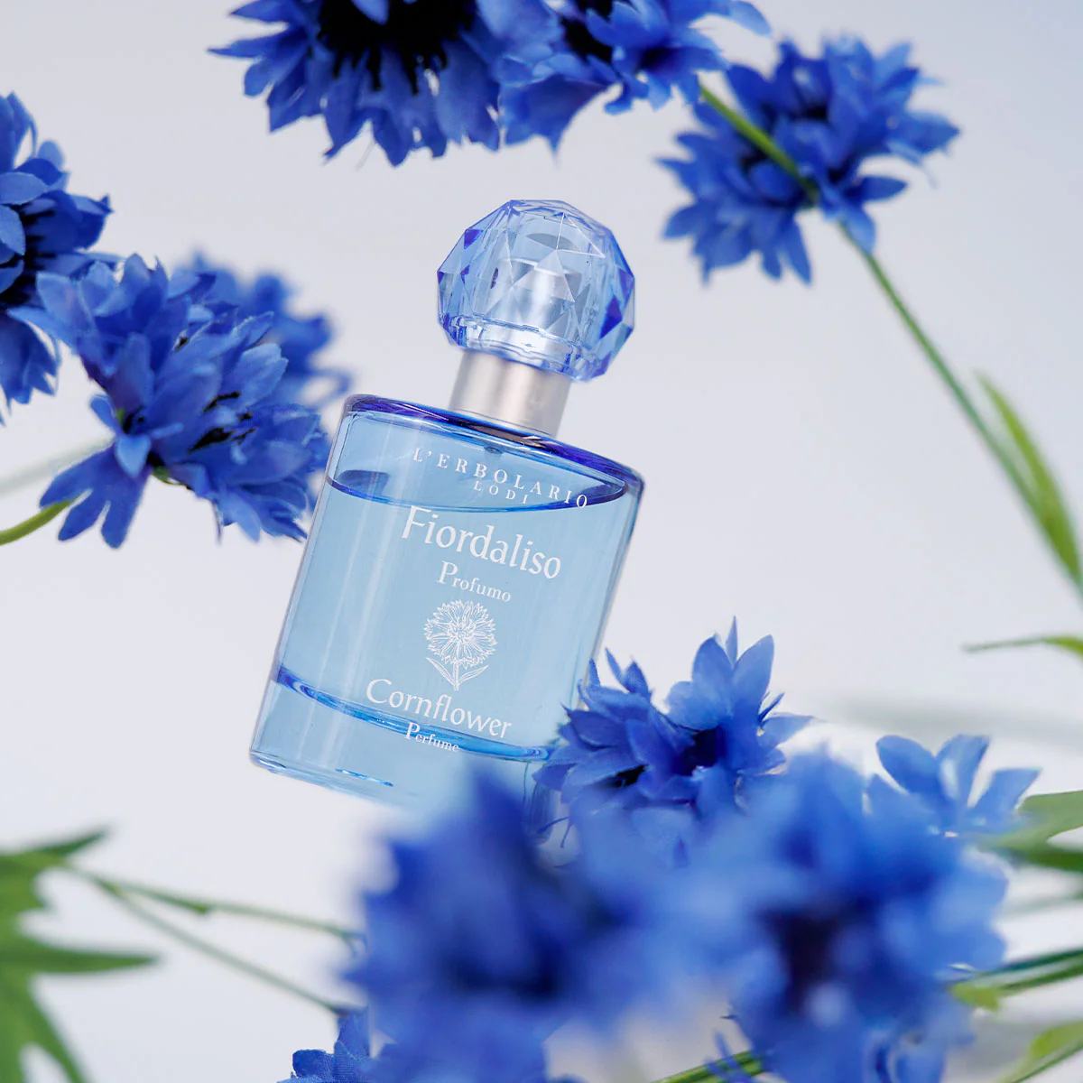 Profumo Fiordaliso - Image 3